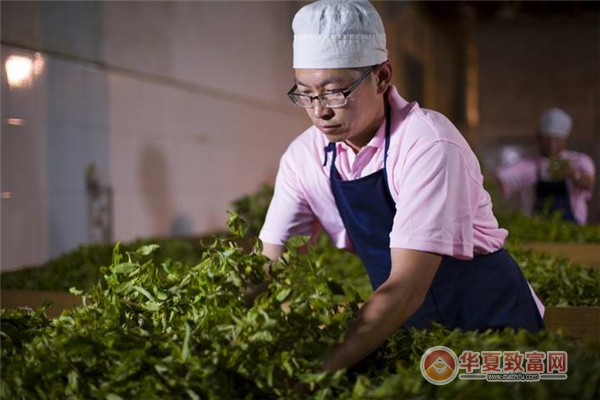 大益茶加盟